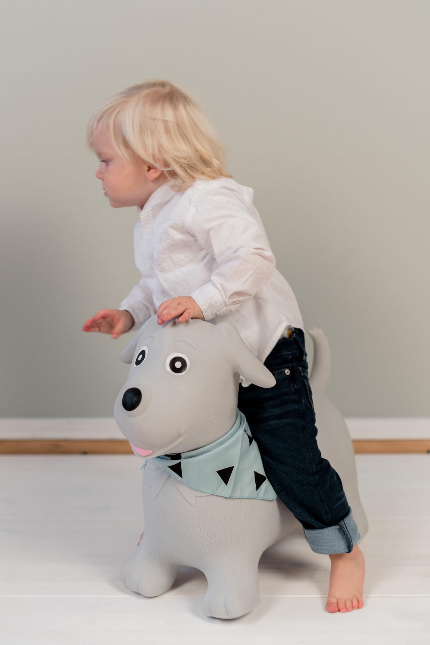 Kindsgut Bouncy Animal Hopper – Inflatable Bouncing Ride-On Toy for Kids & Toddlers Age 2+, Designed in Germany, Indoor & Outdoor, Dog