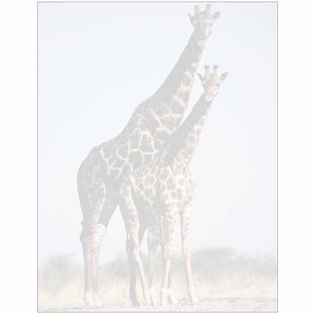 Faded Giraffe with Baby Letter Paper - Wildlife Animal Theme Design - Gift - Business - Office - Party - School Supplies