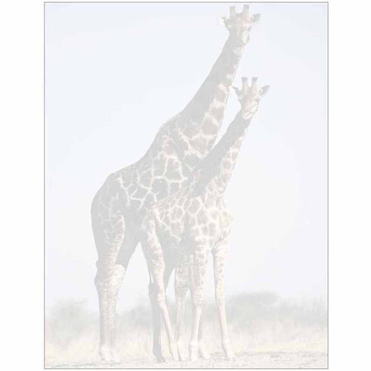 Faded Giraffe with Baby Letter Paper - Wildlife Animal Theme Design - Gift - Business - Office - Party - School Supplies