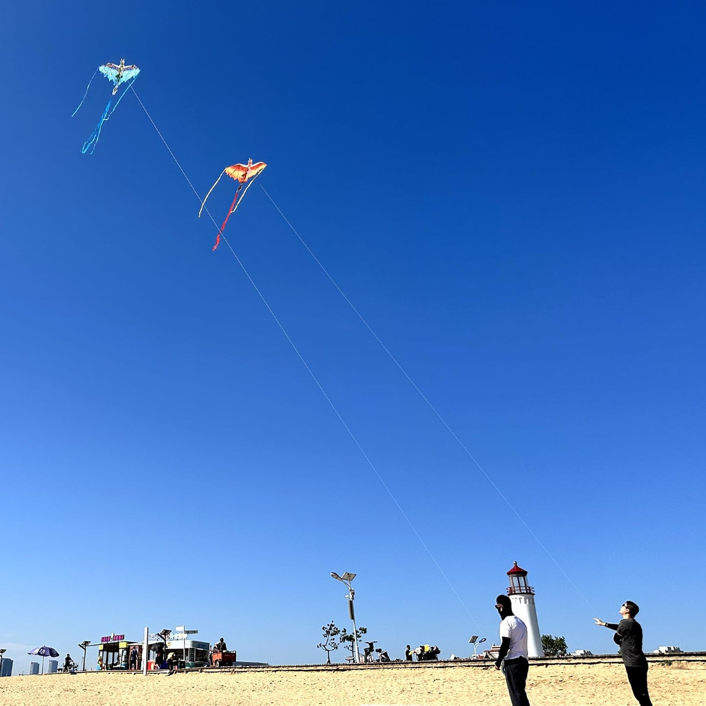 Mint's Colorful Life Dragon Kite for Kids & Adults, Easy to Fly Kites for Beginners,Large Single Line Kite for Beach Trip with 300ft Kites String(Green)