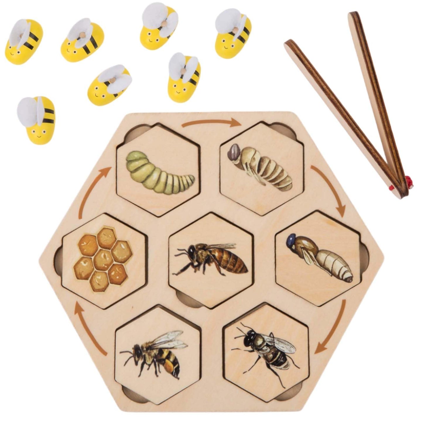 Adena Montessori Wooden Bee Life Cycle Puzzle Toy Set with Tray and Clamp, Animal Life Cycle Educational Activity for 3-6 Year Old Boys & Girls