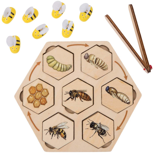 Adena Montessori Wooden Bee Life Cycle Puzzle Toy Set with Tray and Clamp, Animal Life Cycle Educational Activity for 3-6 Year Old Boys & Girls