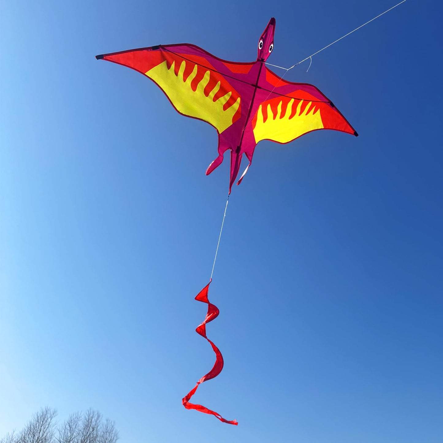 HENGDA KITE 2 Pack Dragon Kites for Kids and Adults，Dinosaur Kite Easy to Fly,Beach Kites for Family Outdoor Toy Games & Activities,Suitable for Beginners