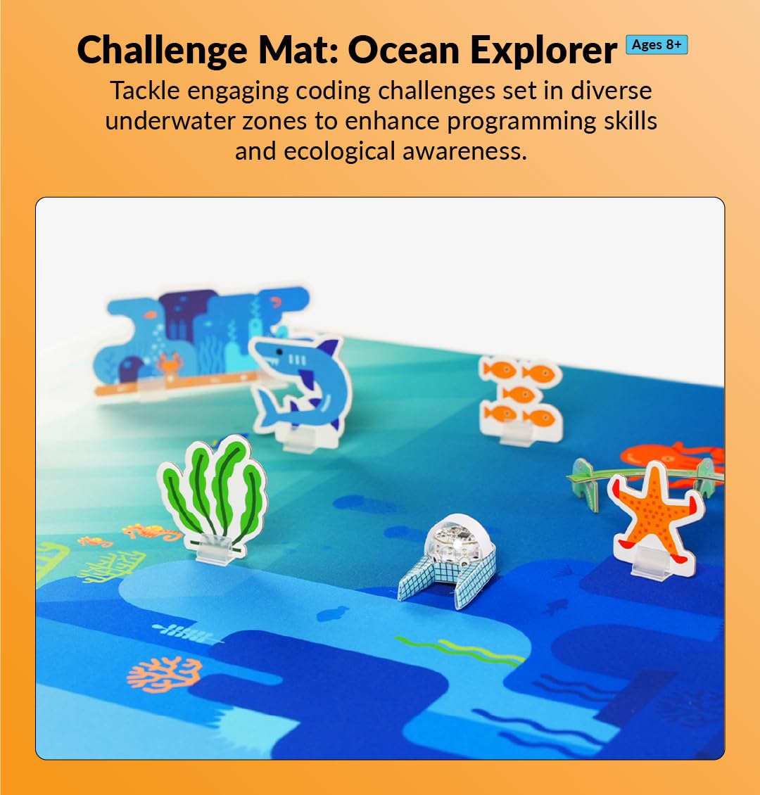 Challenge Mat: Mission to Mars (Ocean Explorer, 24 x 33)