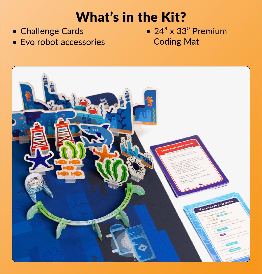 Challenge Mat: Mission to Mars (Ocean Explorer, 24 x 33)