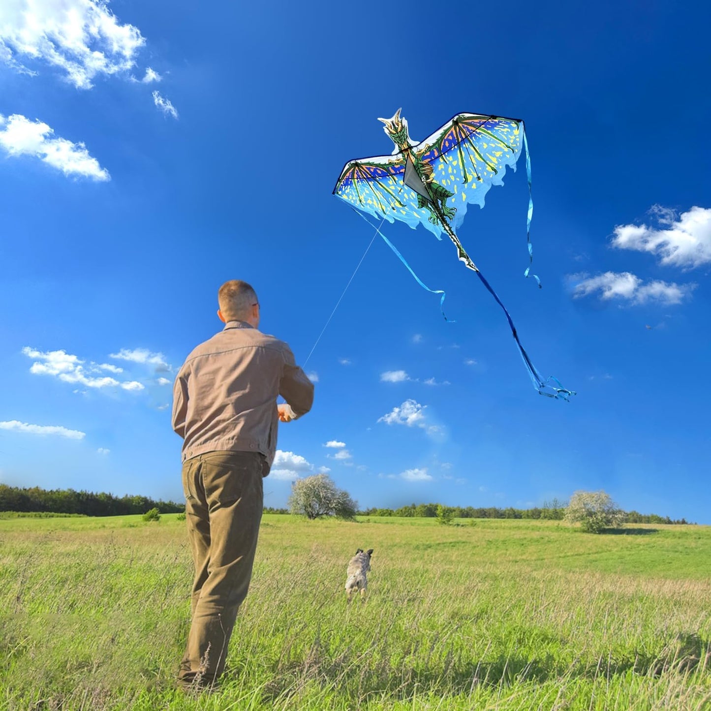 Mint's Colorful Life Dragon Kite for Kids & Adults, Easy to Fly Kites for Beginners,Large Single Line Kite for Beach Trip with 300ft Kites String(Green)