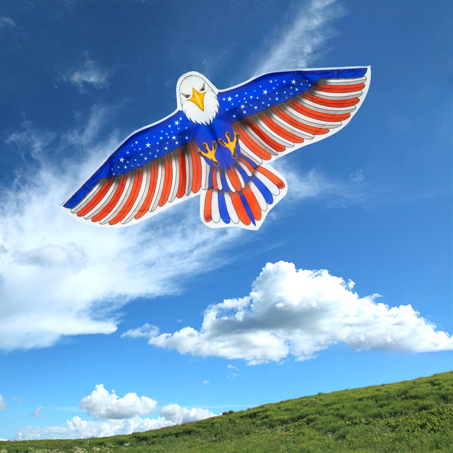 TCVENTS 2 Pack 61" Patriotic Eagle Kites for Kids Adults Birthday Gifts, Huge Easy to Fly Kites for Kids Ages 4-8 8-12 with 328FT String for Beach Yard Boys Girls Family Outdoor Games & Activities