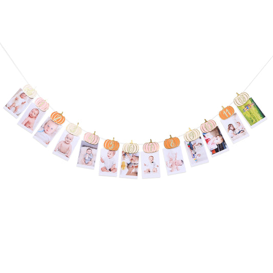 Pumpkin 1st Birthday Monthly Photo Banner for Baby Girls - Newborn to 12 Month Milestone, Pink Orange and Gold - First Birthday Decorations for Girl