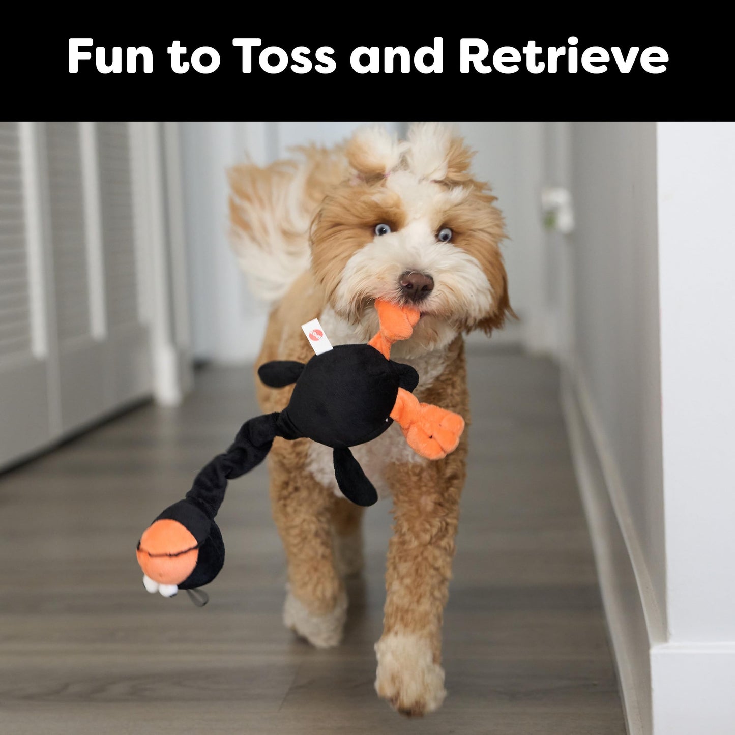 SPOT Chirpies Plush Dog Toy – Bird Sound Squeaky Toy for Small and Medium Dogs, Light to Moderate Chewers, Stretchy Bungee Neck, Recycled Stuffing – 14 in, Assorted Styles