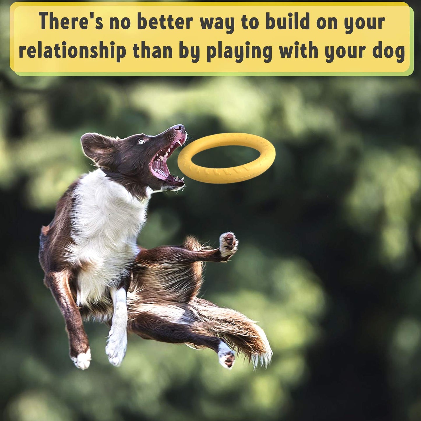 PetSpy Dog Ring Toy – Flying Ring for Outdoor Play, Floating Training & Fetch Toy for Throwing, Catching & Chewers – Durable EVA Flying Disc for Small, Medium & Large Dogs