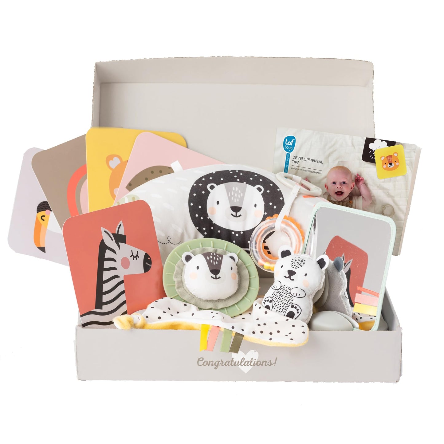 Taf Toys Newborn Developmental Toy Kit, Perfect for Boys and Girls, Includes 12 Essential Boy and Girl Toys for Learning and Stimulation, Ideal New Baby Gift Basket