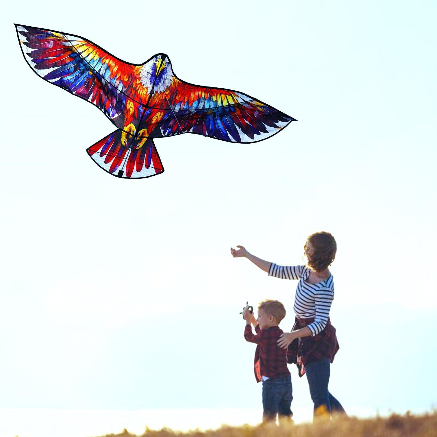 HENGDA KITE Eagle Kite,for Kids and Adults,Easy to Fly,Excellent Fabric and Structure Design,The Pictures are Beautiful in high Definition,Suitable for Beginners(63x27)