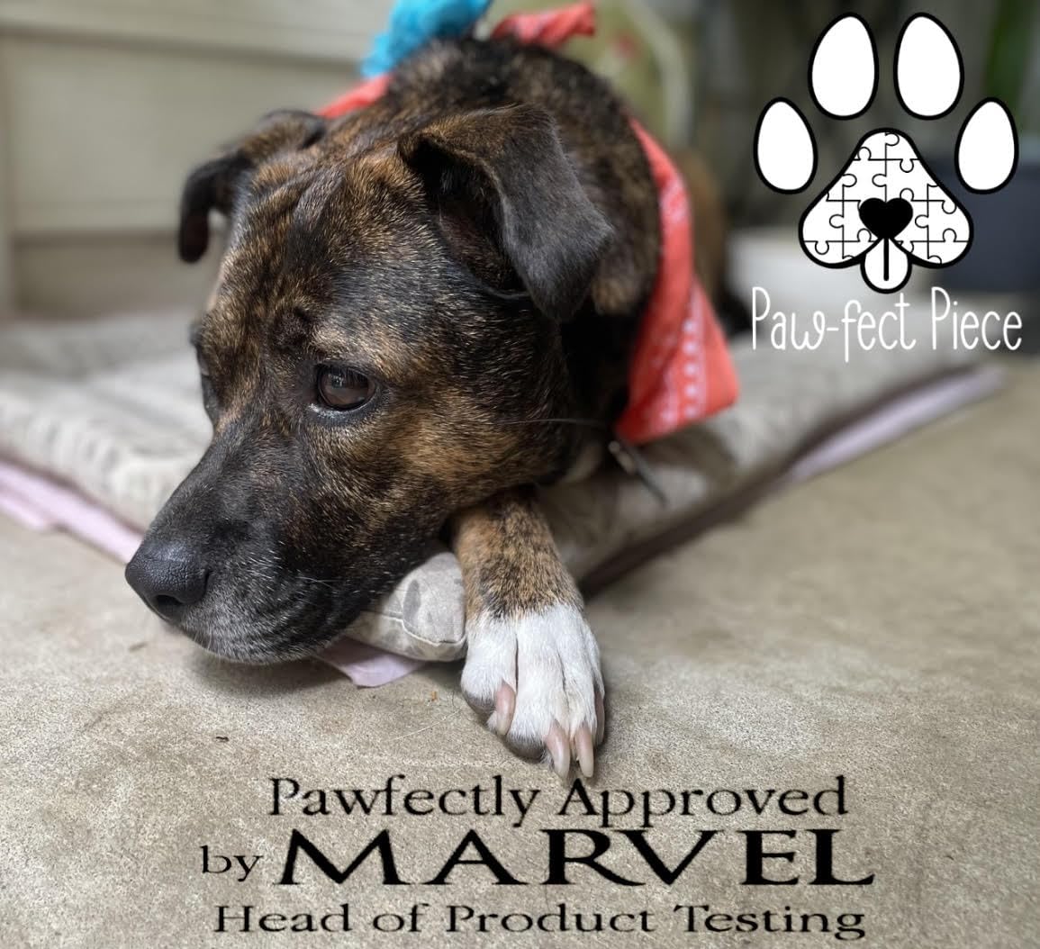 Paw-FECT Piece Stingray/Manta Ray Rope Plush Dog Toy, Soft Durable Material for Chewers, Made with High Resilience Cotton, for All Breeds of Dogs
