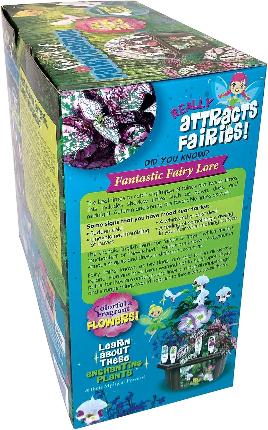 Toys by Nature Fanciful Fairy Biosphere Terrarium Starter Kit, Complete Supplies Included to Create Your Own Enchanting Garden and Indoor Plants! (Fanciful Fairy Garden)