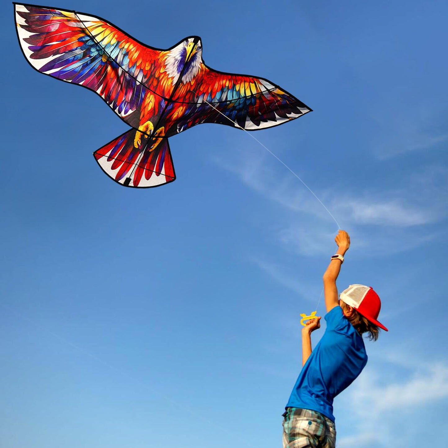 HENGDA KITE Eagle Kite,for Kids and Adults,Easy to Fly,Excellent Fabric and Structure Design,The Pictures are Beautiful in high Definition,Suitable for Beginners(63x27)