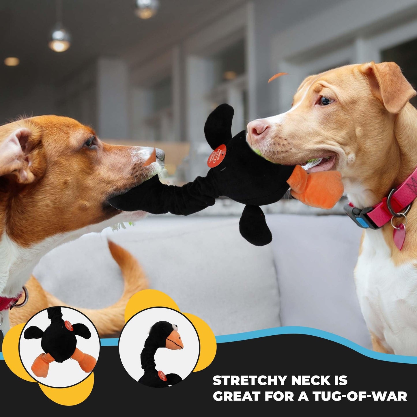 SPOT Chirpies Plush Dog Toy – Bird Sound Squeaky Toy for Small and Medium Dogs, Light to Moderate Chewers, Stretchy Bungee Neck, Recycled Stuffing – 14 in, Assorted Styles