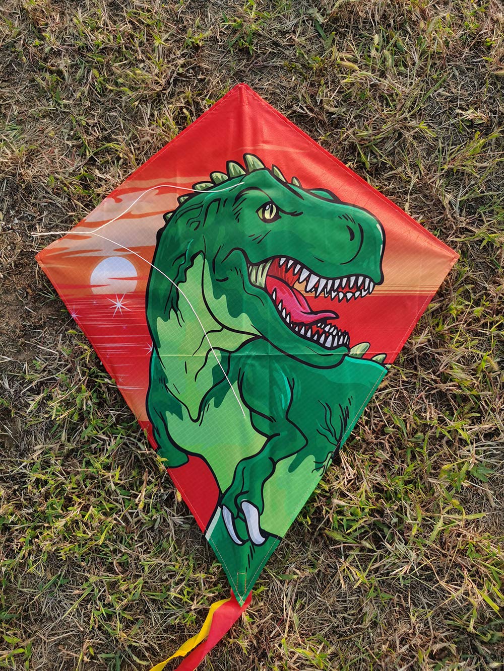 [2 Pack] Diamond Kites Dinasour+Unicorn Eddy Kite for Children, Wonderful Beginner Kites for 3 Years up, 60x70cm with 2x300cm Long Tails, Kite Handle, 60m String and Swivel incloud