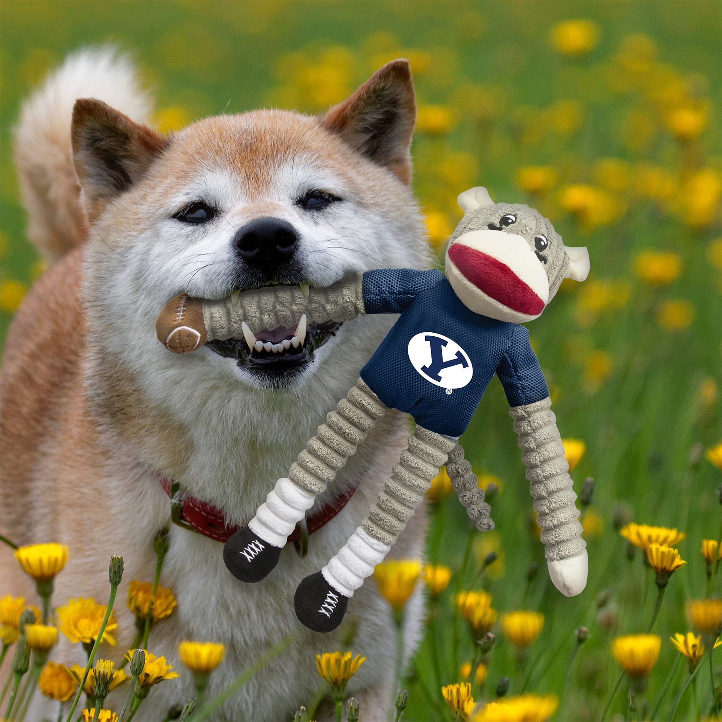 Littlearth NCAA BYU Cougars Sock Monkey and Flying Disc Pet Toy Combo Set, Team Color, One Size