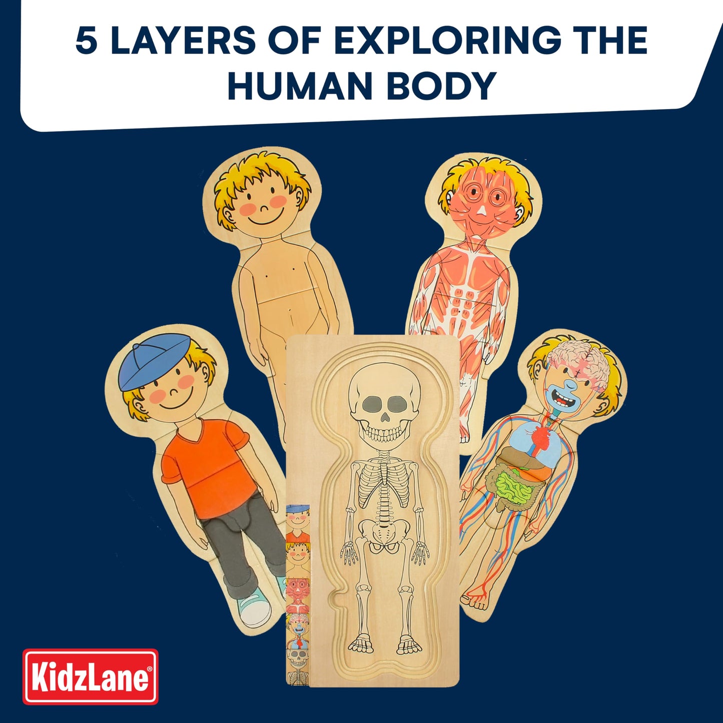 Kidzlane Boy Wooden My Body Puzzle for Toddlers & Kids - 29 Piece Boys Anatomy Puzzle Kid Play Set - Anatomy for Kids, Skeleton Toys for Children Ages 3 Plus