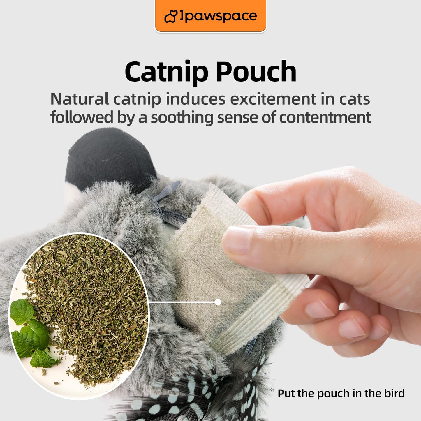 ipawspace Interactive Flapping Bird Cat Toy with Catnip, Touch Activated Rechargeable, Musical Sound (can Turn Off), Satisfy Cat's Natural Huting Instinct, Soft Plush Washable Cover (Green)
