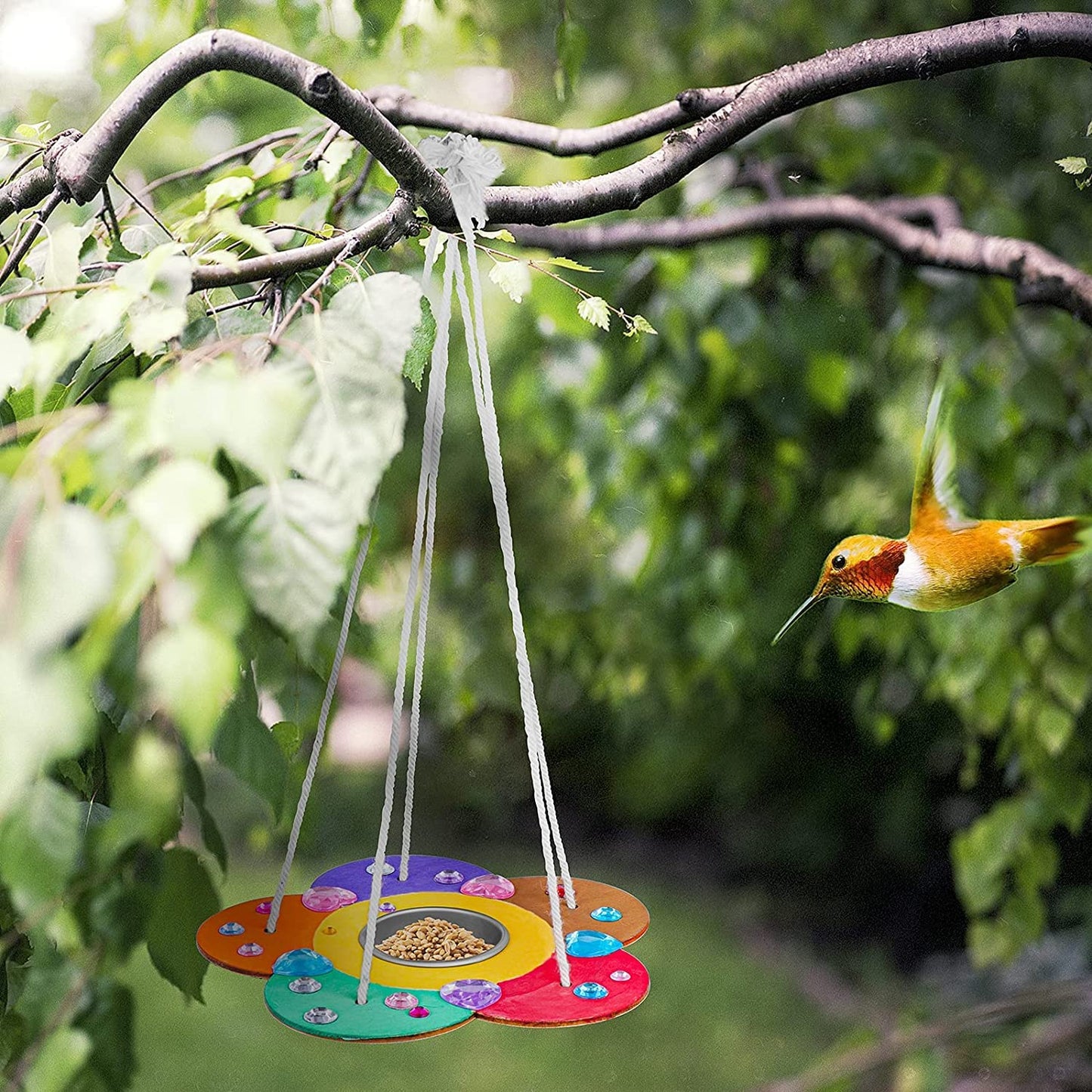 Gooidea Kids Arts and Crafts Bird Feeders for Outside, 2-Pack DIY Wooden Paint Kits Spring Outdoor Toys Holiday Crafts for Boys & Girls Age 3-5 4-8 8-12