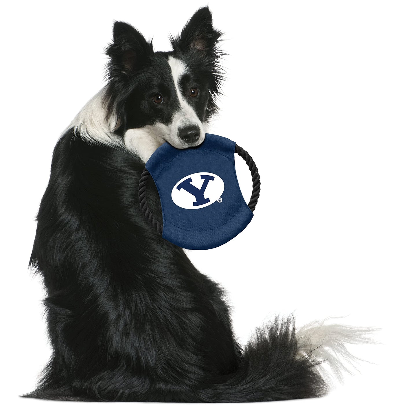 Littlearth NCAA BYU Cougars Sock Monkey and Flying Disc Pet Toy Combo Set, Team Color, One Size
