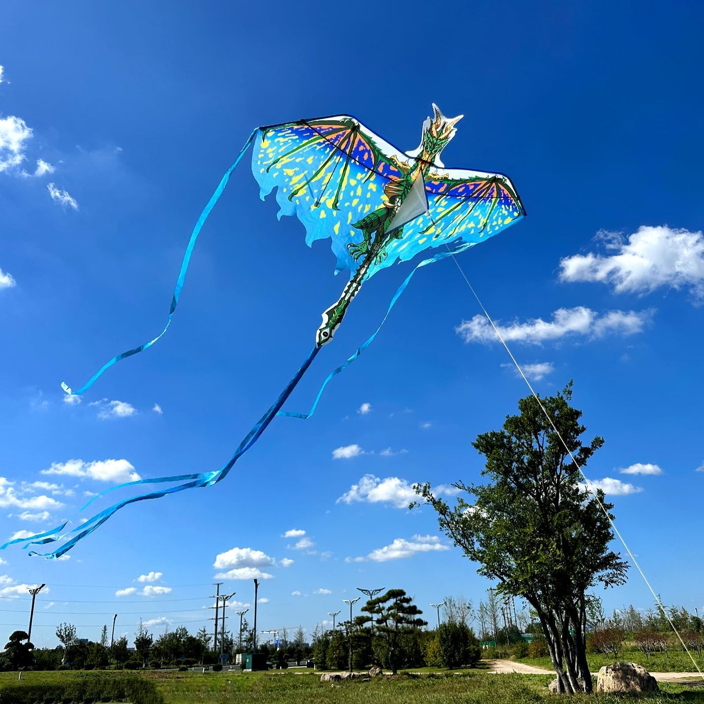 Mint's Colorful Life Dragon Kite for Kids & Adults, Easy to Fly Kites for Beginners,Large Single Line Kite for Beach Trip with 300ft Kites String(Green)