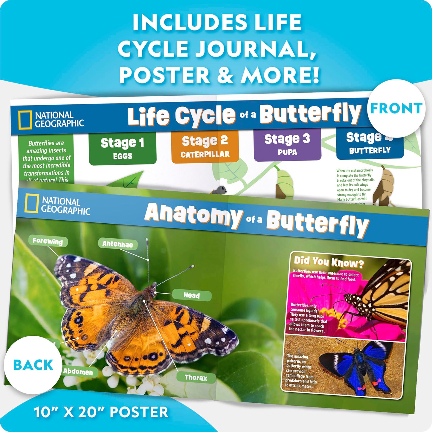 National Geographic Ultimate Butterfly Growing Kit – Butterfly Habitat Kit with Voucher to Redeem 5 Caterpillars (S&H Not Included), Glow-in-The-Dark Figures, Hands-On Activity, Outdoor Toys