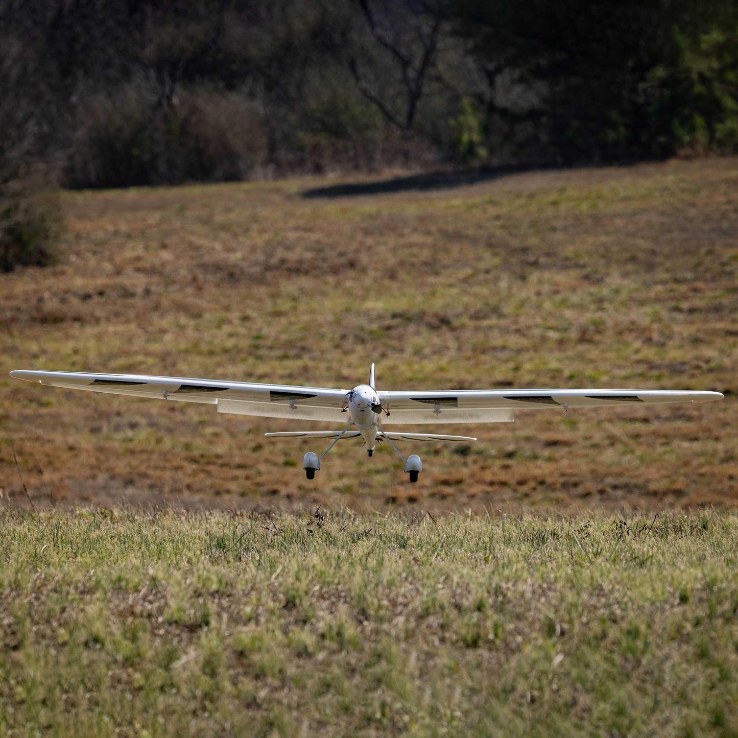 E-flite RC Airplane Conscendo 2.0m BNF Basic (Transmitter, Battery and Charger Not Included) with AS3X+ and Safe Select, EFL32250
