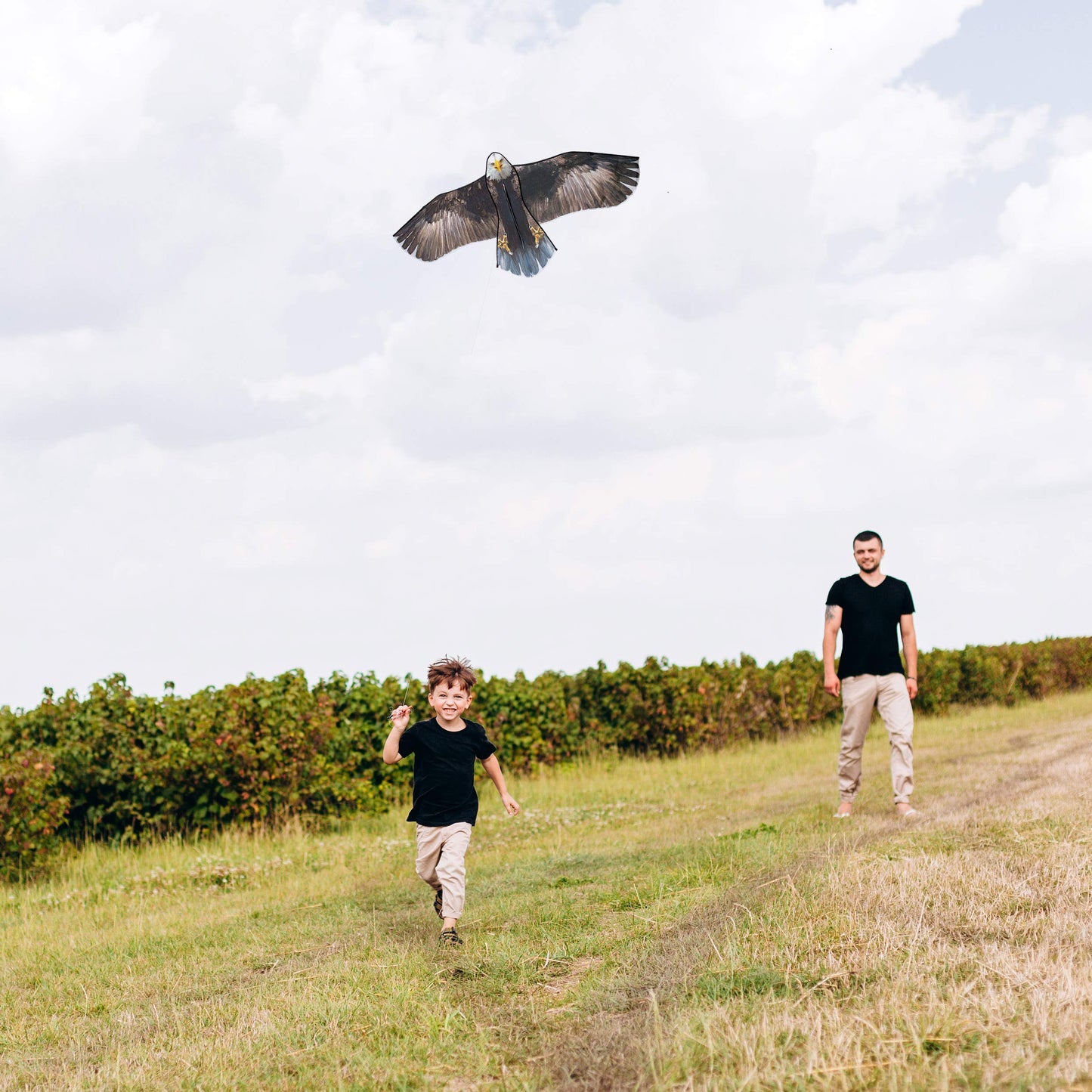 JEKOSEN Bald Eagle Huge Kite for Kids and Adults Single Line String Easy to Fly for Beach Trip Park Family Outdoor Games and Activities