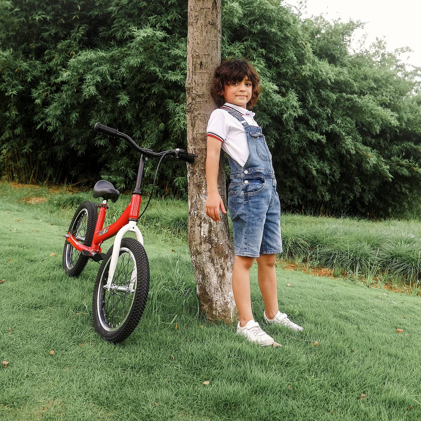 bikeboy Balance Bike 3 in 1,The Dual Use of a Kids Balance Bike and Toddler Bike, for 2 3 4 5 6 7 Years Old -12 14 16 Inches with Training Theory, Brake, Pedal