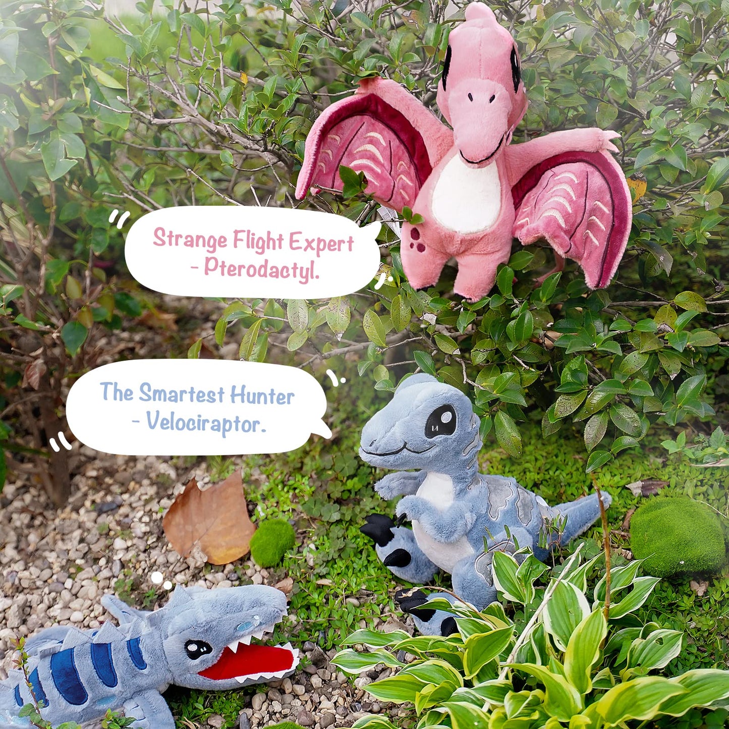 TCBunny Baby Dinosaur 14" Stuffed Animal Plush Toy, Kid's Gifts for Boys, Girls, Birthday, Valentine, Christmas (Pterosauria - Pink)