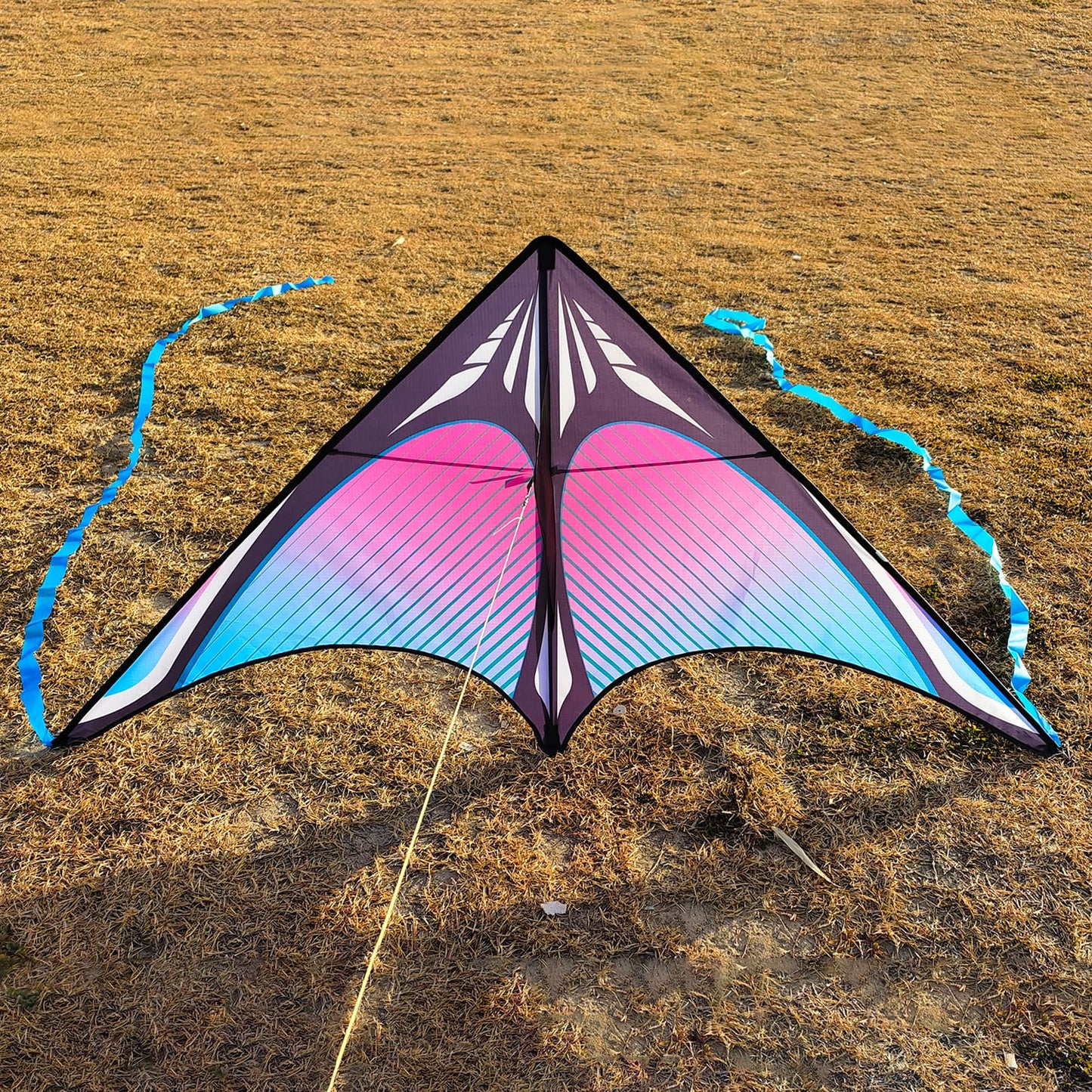 Flying Hoofer Large Beach Delta Kite for Adults and Kids Ages 4-8 & 8-12, Extremely Easy to Fly for Beginners(60X30''), Single Line Kite,Comes with 300 FT String Kite Handle.(Blue)